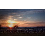 Abendmahl