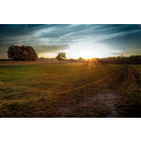 Herbstlicht