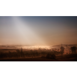 Licht