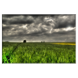 Natur