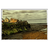Quilty