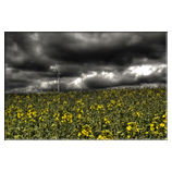 Ruhe vor dem Sturm