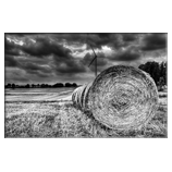 Stormy Day
