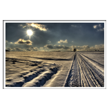 Winterland