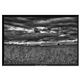 Cloudy Day