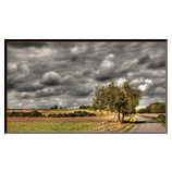 Herbststimmung
