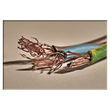 Kabel I
