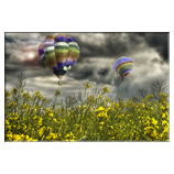 Ballonflight