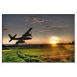 Sunsetflight