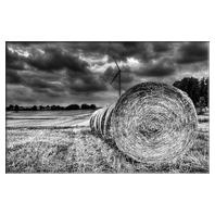 Stormy Day