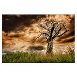 Unter dem roten Himmel