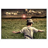 Im Feld