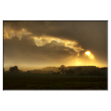 Im Regen