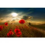 Sonnenlicht